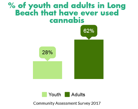 Percentage of people in LB that have used cannabis